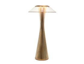 Space by Adam Tihany Gold Lamp