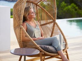 Hive Chair and Teak Lifestyle 2