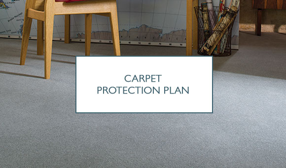 Carpet Protection Plan