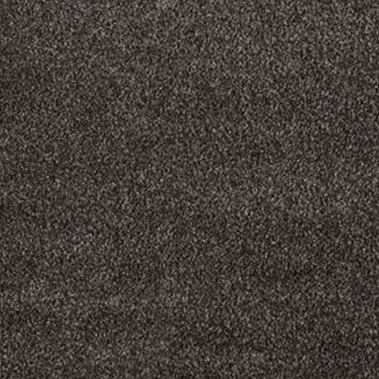 Associated weaver Serenity Carpet