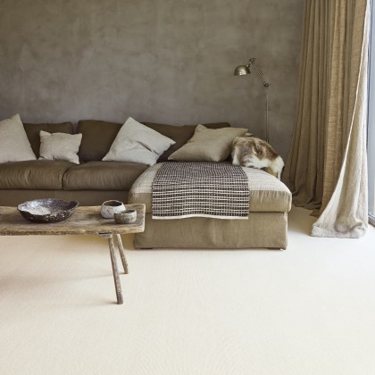 Wool Biscayne Plain