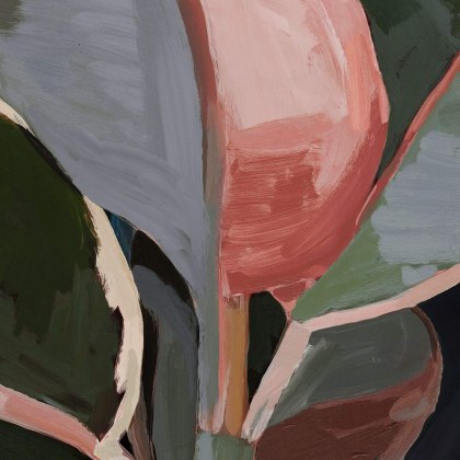 Robusta Framed Canvas Robusta Framed Canvas