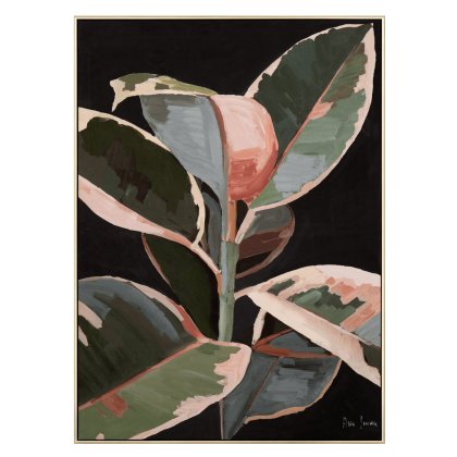 Robusta Framed Canvas Robusta Framed Canvas