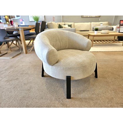 Ardo Chair Cream