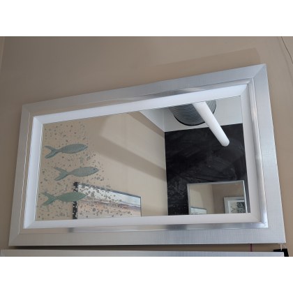 Pictures, School of Fish 100x50 Mirror