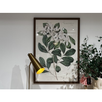 Foilage and Blooms Framed Artwork