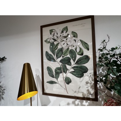 Foilage and Blooms Framed Artwork