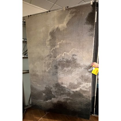 TWILIGHT 244 168 CMS RUG