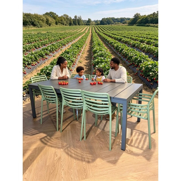 RIO 210cm Ext dining table and 8 chairs (2 x armchairs) RIO 210cm Ext dining table and 8 chairs (2 x armchairs)