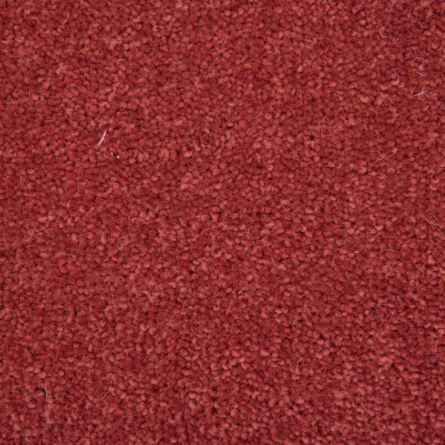 Mr Tomkinson Linen Level Designer Berber 6m x 4m