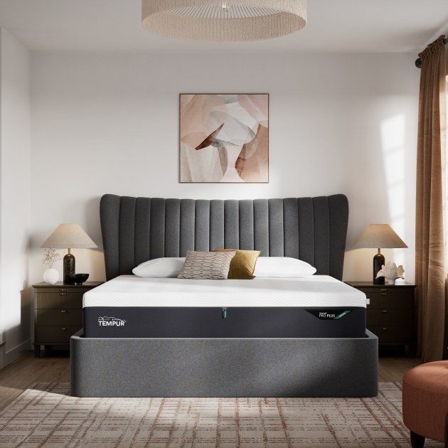 Tempur Horton Super King Ottoman Bed Tempur Horton Super King Ottoman Bed