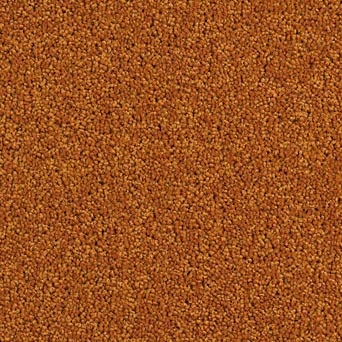 Brockway Solar Plain Carpet