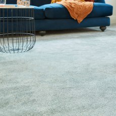 Abingdon Sophisticat Abingdon Sophisticat