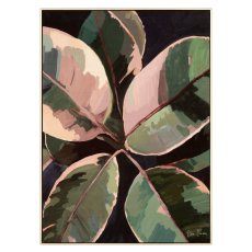 Ficus Framed Canvas