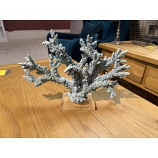 BLUE CORAL ACRYLIC ORNAMENT