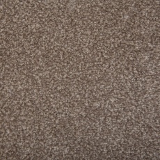 Abingdon Flooring Latte Stainfree Ultra Carpet Roll 3.4m x4m