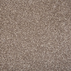 Abingdon Flooring Latte Stainfree Ultra Carpet Roll 3.4m x4m