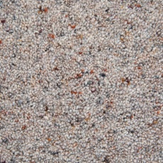 Cormar Woodland Mist Berber Twist Elite 2.4m x 4m