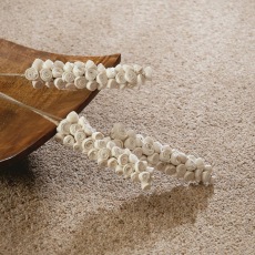Brockway Orion Twist 42oz Carpet