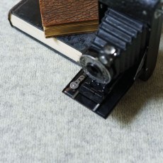 Brockway Rare Breeds Carpet