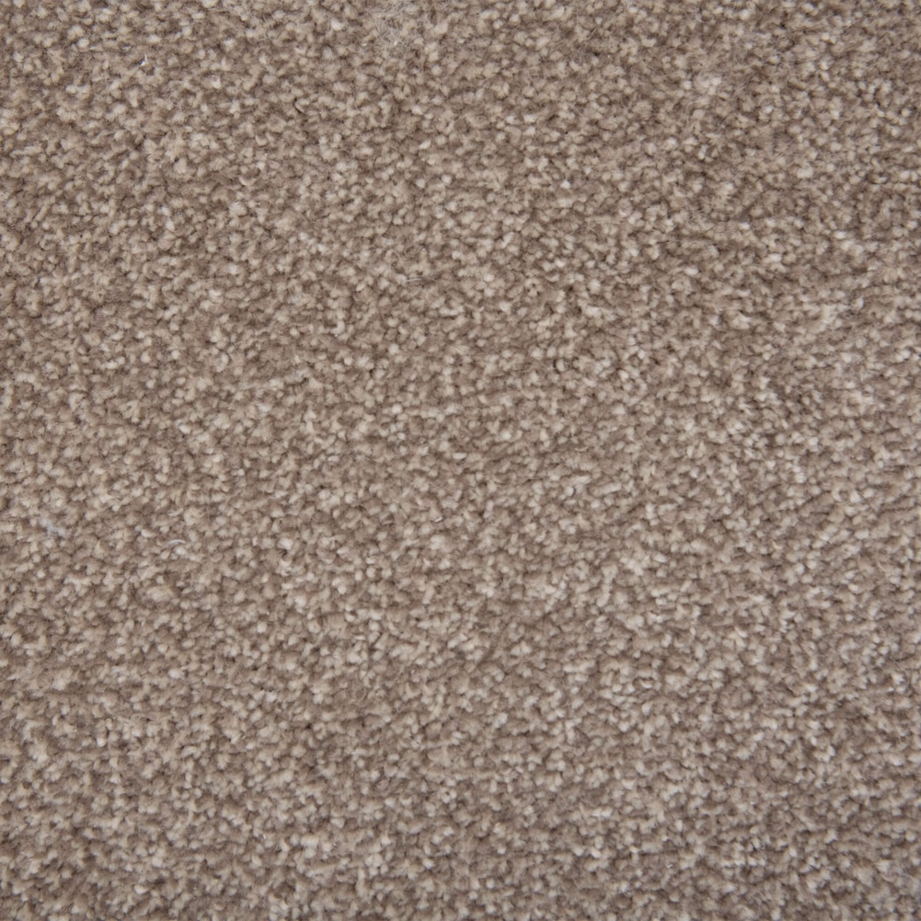 Abingdon Flooring Latte Stainfree Ultra Carpet Roll 3.4m x4m Abingdon Flooring Latte Stainfree Ultra Carpet Roll 3.4m x4m