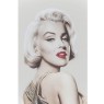 Marilyn Framed Picture Marilyn Framed Picture