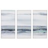 Clouded View Framed Canvas Set of 3 Clouded View Framed Canvas Set of 3