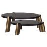 Kayla Coffee Table Set of 2 Kayla Coffee Table Set of 2