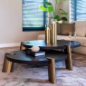 Kayla Coffee Table Set of 2 Kayla Coffee Table Set of 2
