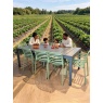 RIO 210cm Ext dining table and 8 chairs (2 x armchairs) RIO 210cm Ext dining table and 8 chairs (2 x armchairs)