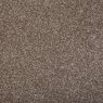 Abingdon Flooring Latte Stainfree Ultra Carpet Roll 3.4m x4m Abingdon Flooring Latte Stainfree Ultra Carpet Roll 3.4m x4m