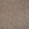 Abingdon Flooring Latte Stainfree Ultra Carpet Roll 3.4m x4m Abingdon Flooring Latte Stainfree Ultra Carpet Roll 3.4m x4m