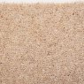 Brockway Soft Feather Dimensions 40oz 2.7m x 4m Brockway Soft Feather Dimensions 40oz 2.7m x 4m