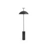 Kartell GEEN-A by Ferruccio Laviani Black Floor Lamp