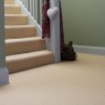 Brintons Bell Twist Carpet Brintons Bell Twist Carpet