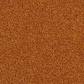 Brockway Solar Plain Carpet Brockway Solar Plain Carpet