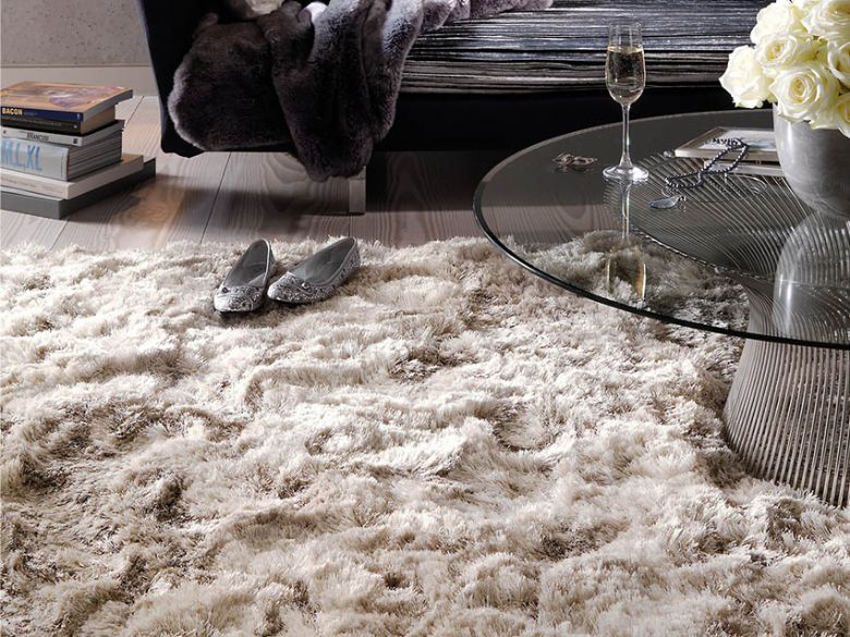 Plush rug in a lifestyle setting