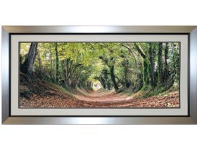 Halnaker woods framed picture - Lee Longlands