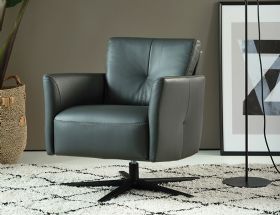 ROM Alva queen leather star based chair available at Lee Longlands
