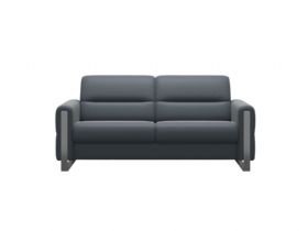 Fiona 2.5 Seater Sofa With Steel Arms Shot1