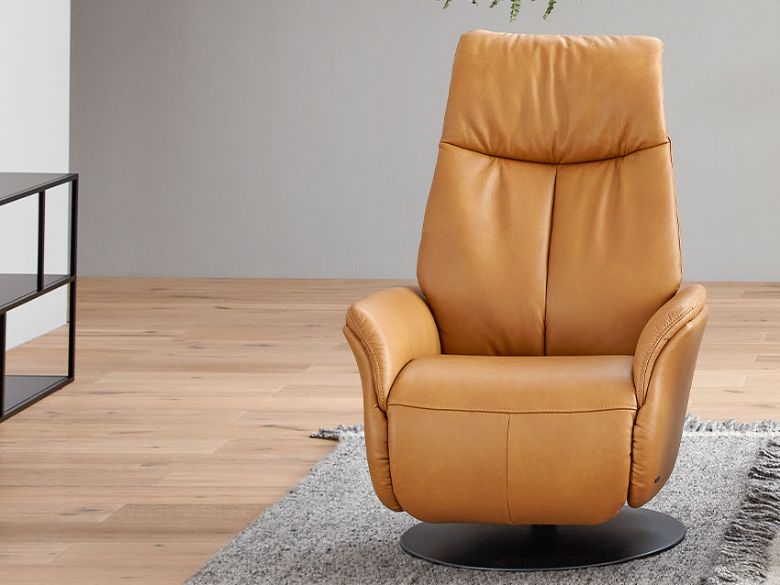 8970 Small Swivel Electric Recliner Chair