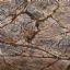 Maverick Stone Finishes (Cat. C) Forest Brunello